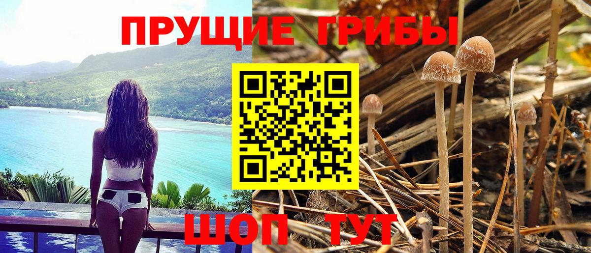 Псилоцибиновые грибы Magic Shrooms Елизово