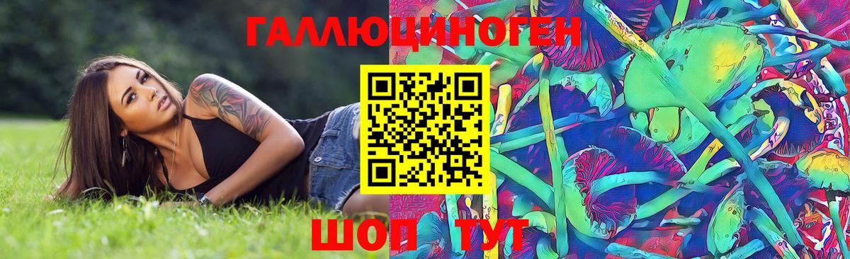 Елизово  Псилоцибиновые грибы Psilocybe  Вход с VPN 